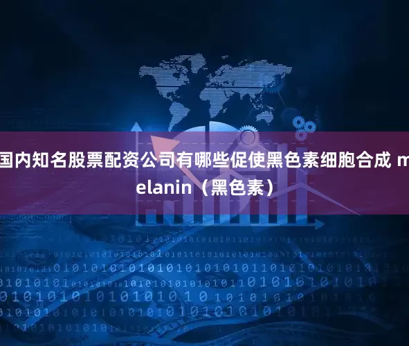 国内知名股票配资公司有哪些促使黑色素细胞合成 melanin（黑色素）