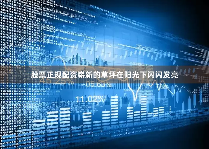 股票正规配资崭新的草坪在阳光下闪闪发亮