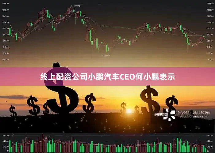 线上配资公司小鹏汽车CEO何小鹏表示